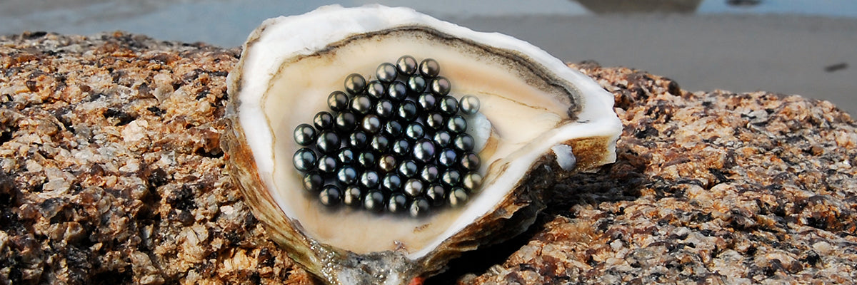 The Alluring History and Cultural Significance of Black Pearls