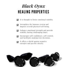 Rosec Jewels-Princess Cut Black Onyx Square Helix Earring with Moissanite