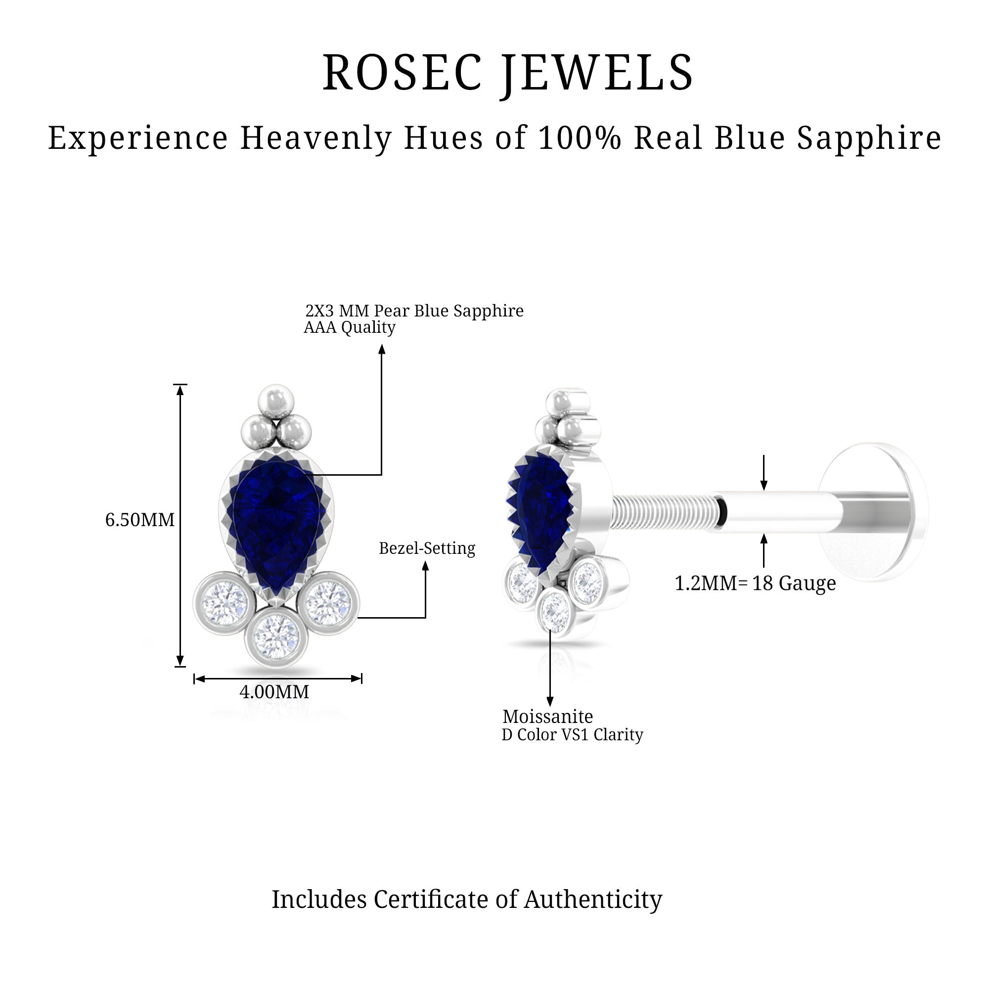 Rosec Jewels-Vintage Style Blue Sapphire and Moissanite Tragus Earring